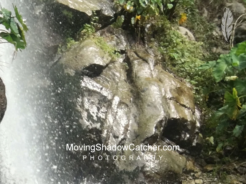 Cusco Crouching Jungle Puma